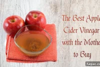 Top Apple Cider Vinegars with the Mother to Buy Now