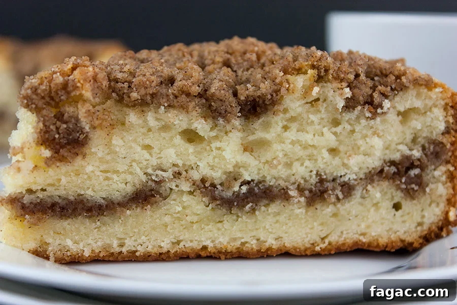 Sausage and Hashbrown Breakfast Casserole for 12 Guests 20 Cinnamon Crumb Coffee Cake on a white plate.