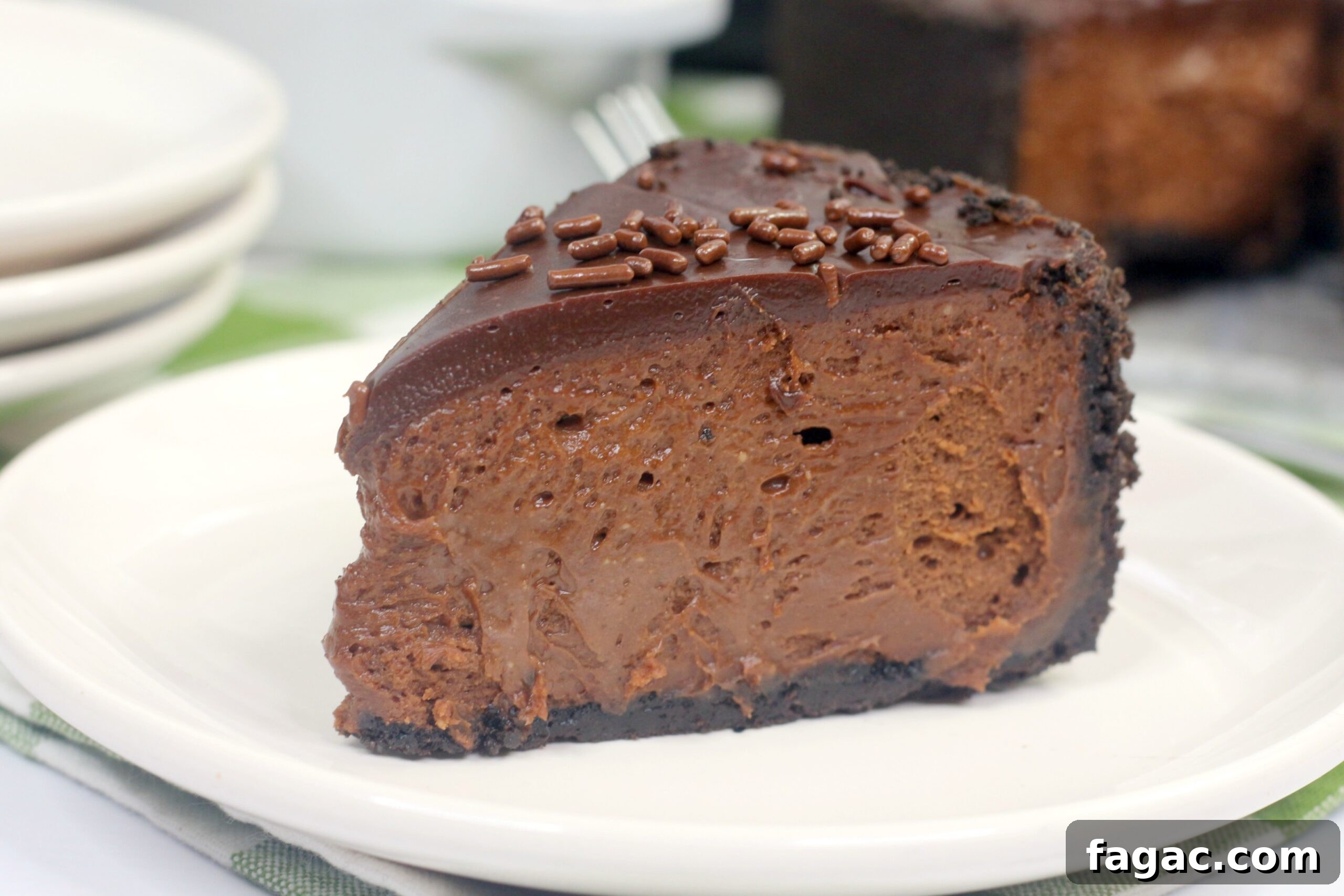 Decadent Chocolate Cheesecake in the Instant Pot 4 Cheesecake close-up