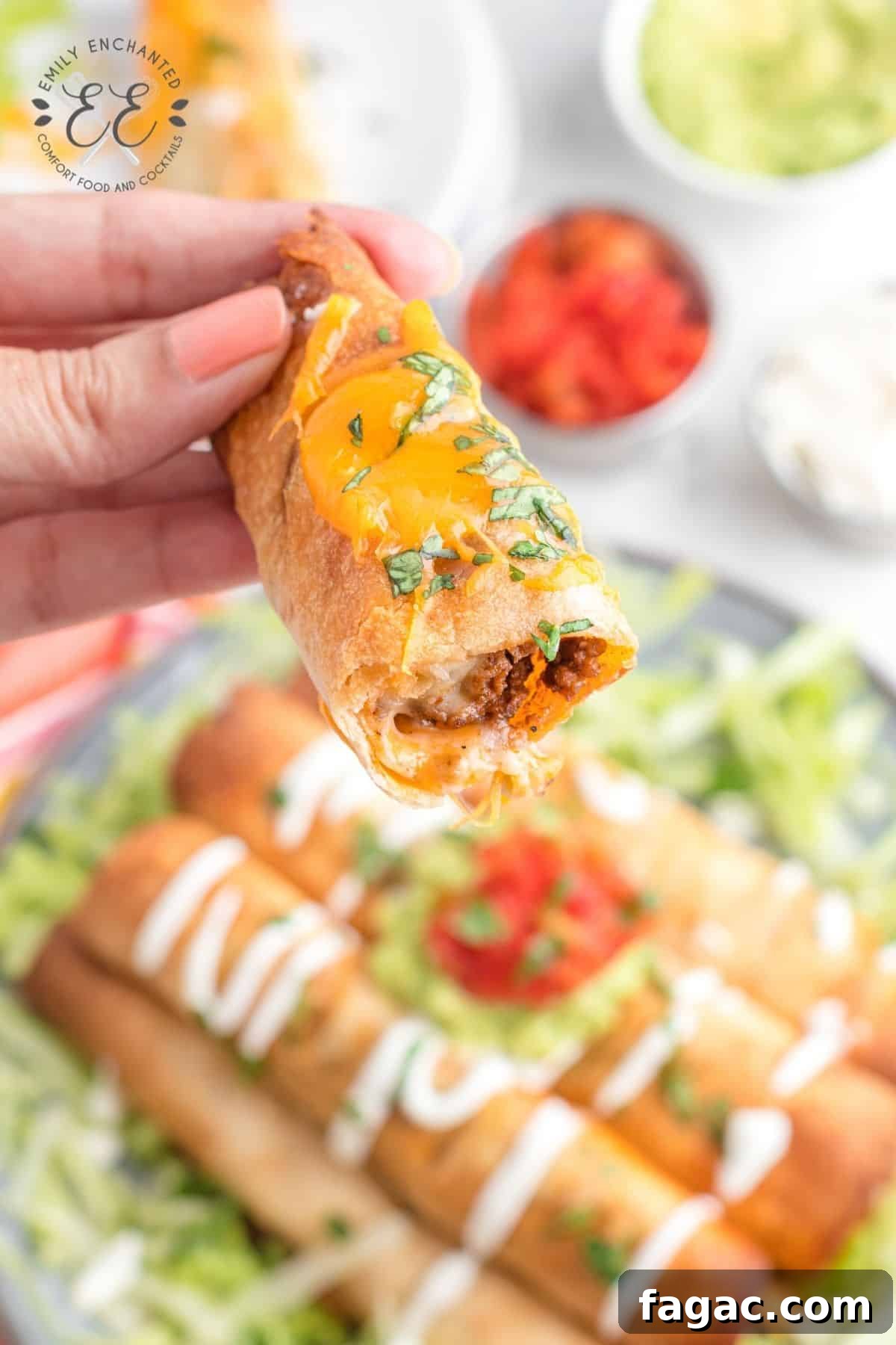 Air Fryer Rolled Tacos