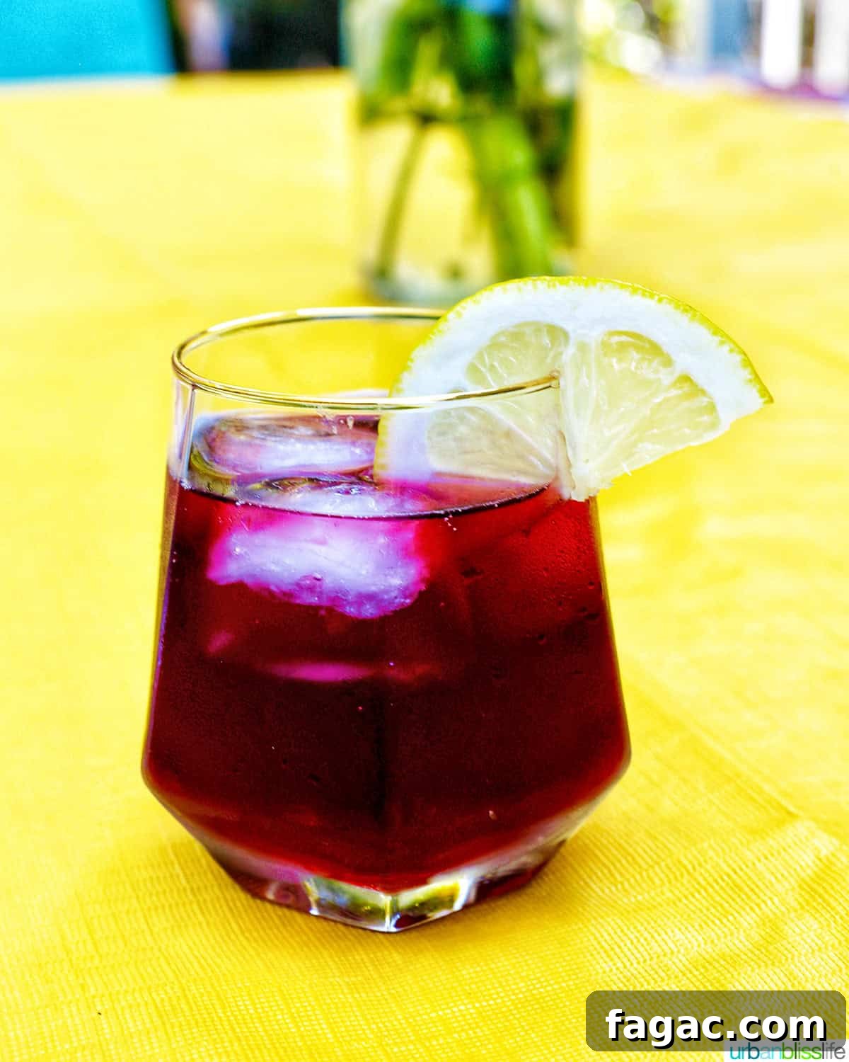 Authentic Tinto de Verano Recipe: Refreshing Spanish Wine Cooler 2 glass of tinto de verano wine cocktail with lemon slice.