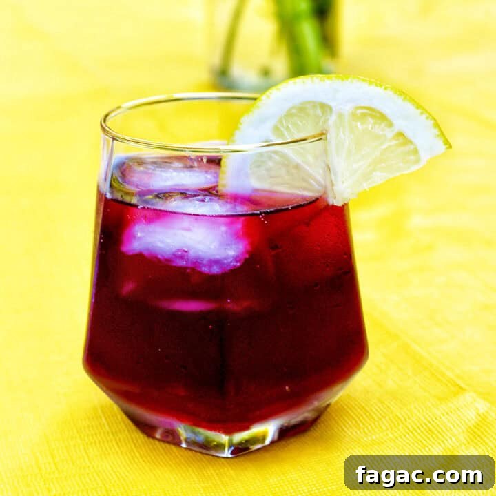 Authentic Tinto de Verano Recipe: Refreshing Spanish Wine Cooler 15 glass of tinto de verano wine cocktail with lemon slice.