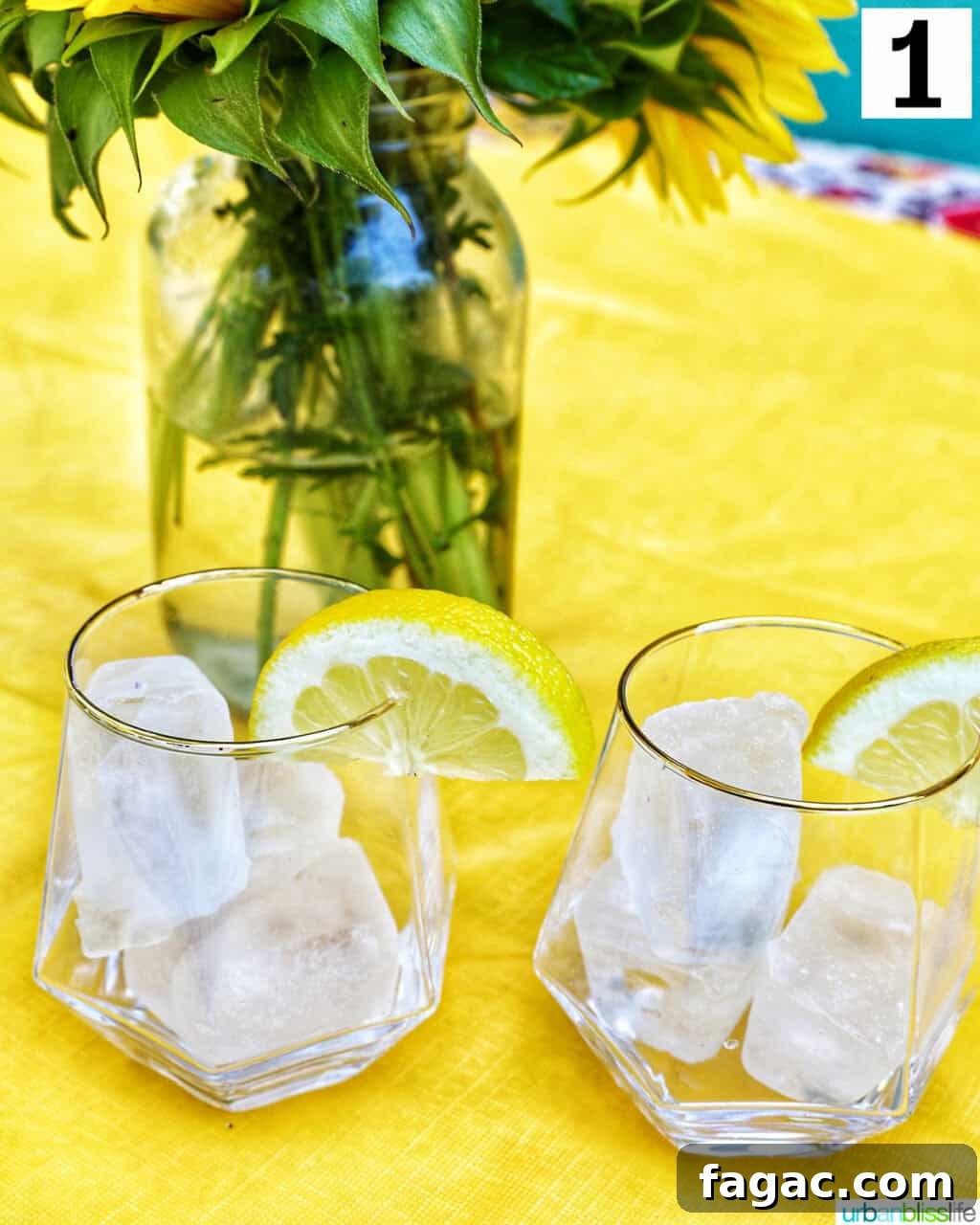 Authentic Tinto de Verano Recipe: Refreshing Spanish Wine Cooler 5 two glasses of ice.