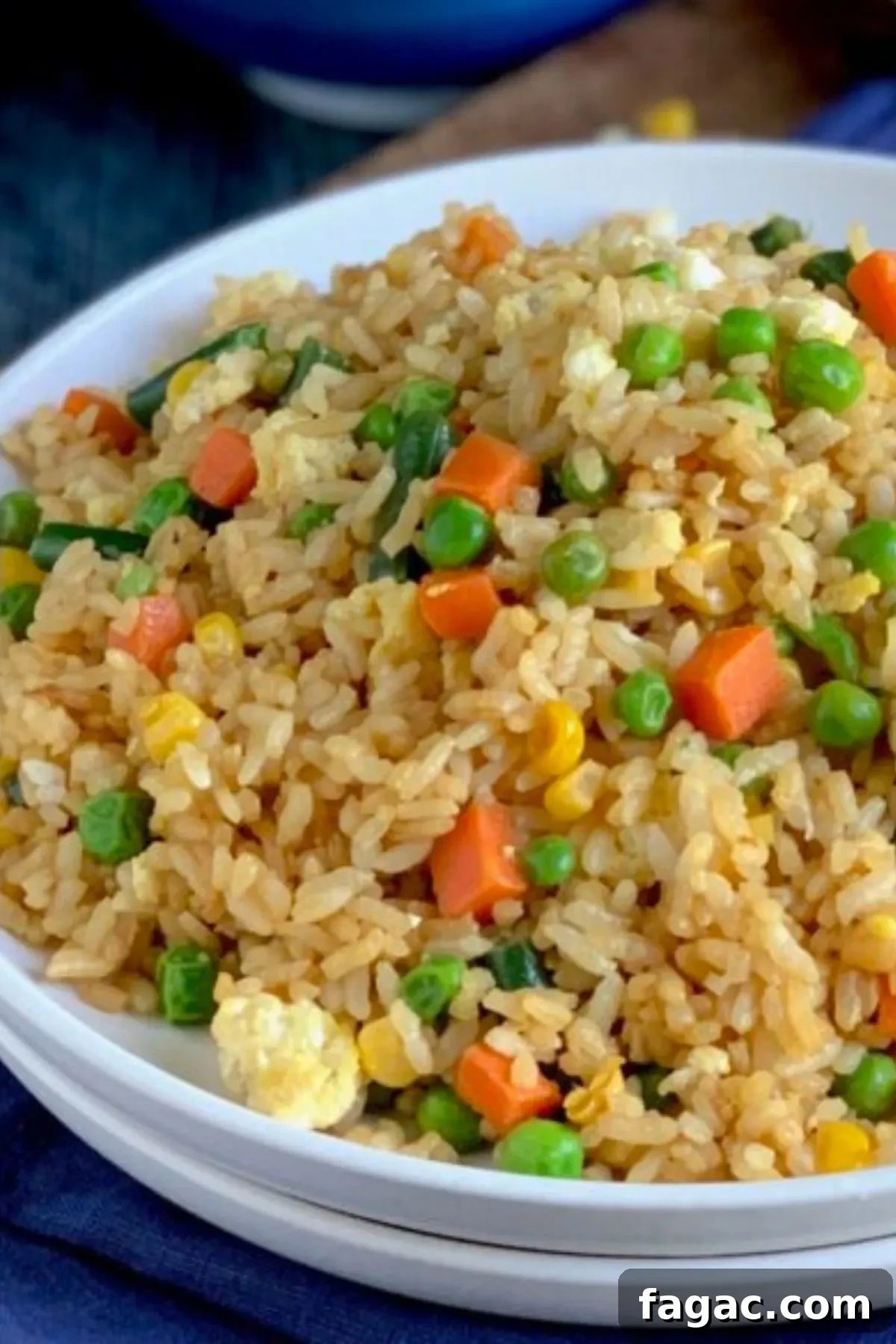 A white plat with homemade gluten free, dairy free fried rice. 