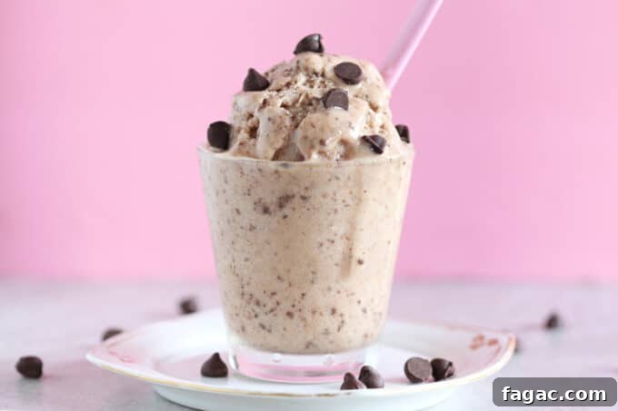 Peanut Butter Chocolate Chip Nice Cream Recipe for Creamy Frozen Dessert 2 Glass cup full of ice cream with chocolate chips.