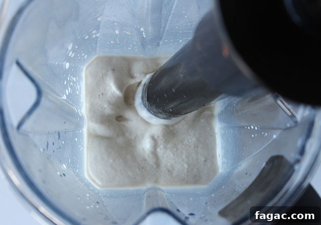Peanut Butter Chocolate Chip Nice Cream Recipe for Creamy Frozen Dessert 6 Blending ice cream in a Vitamix blender with a tamper.