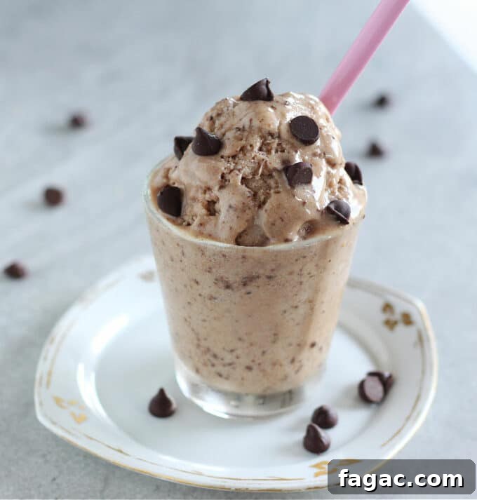 Peanut Butter Chocolate Chip Nice Cream Recipe for Creamy Frozen Dessert 9 Cup of ice cream with chocolate chips and a pink spoon.