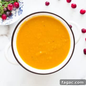 Creamy Hubbard Squash Soup Recipe for Fall Comfort 20 Spoon in a white bowl containing hubbard squash soup, cranberries and parsley on table.