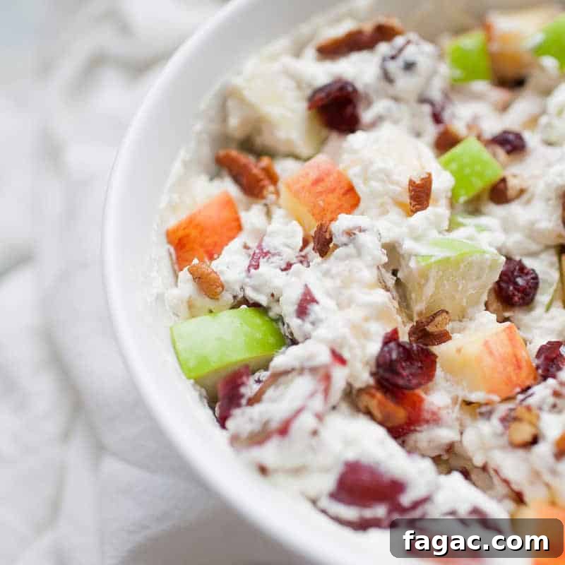 Close-up of a bowl filled with creamy Christmas fruit salad containing red and green apple chunks, grapes, pecans, and dried cranberries mixed in a creamy dressing.