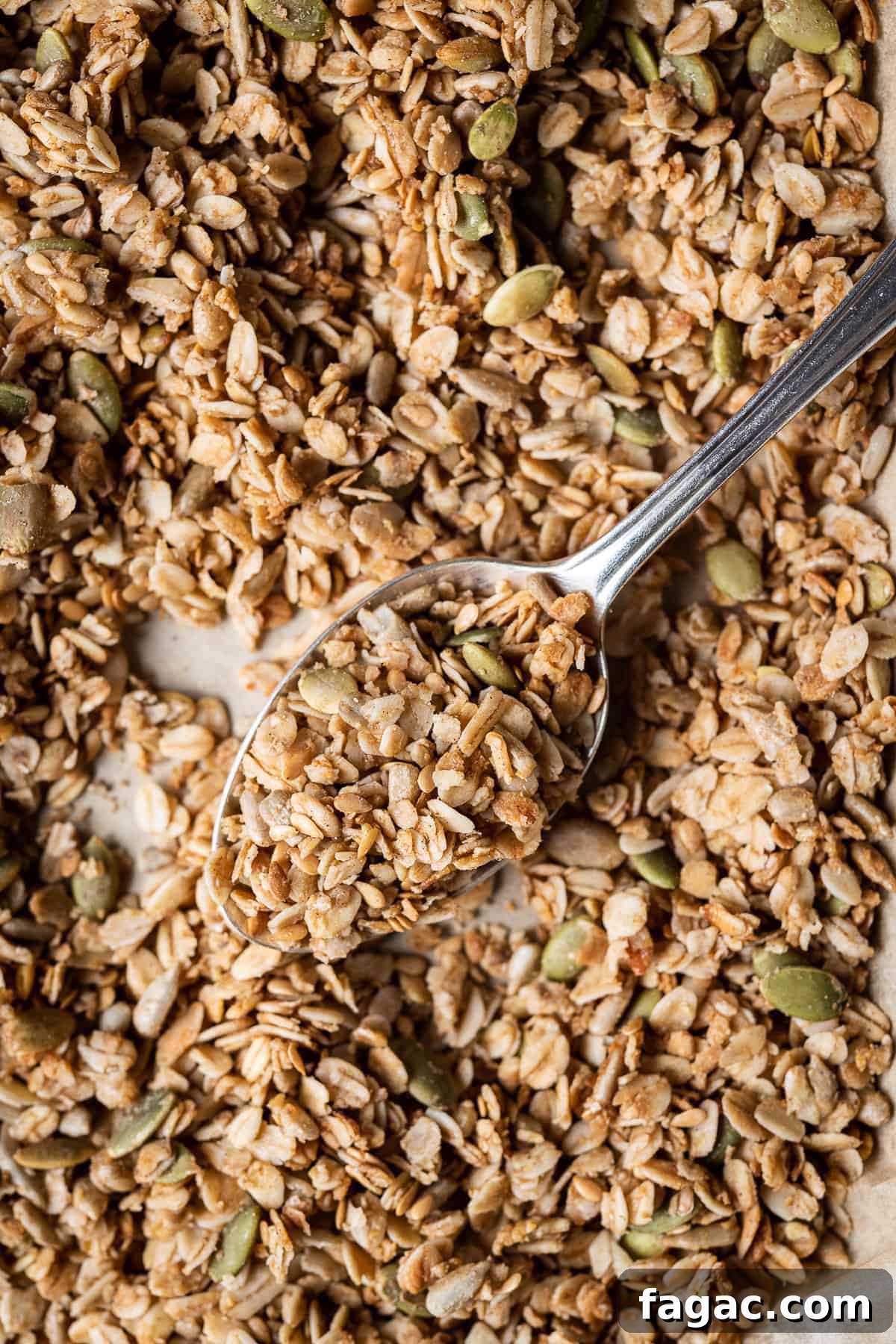 Close up of granola close up of a spoonful of granola