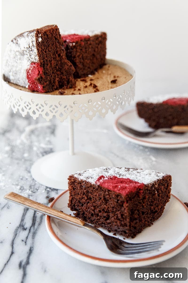 Mini Chocolate Sour Cream Cake Recipe