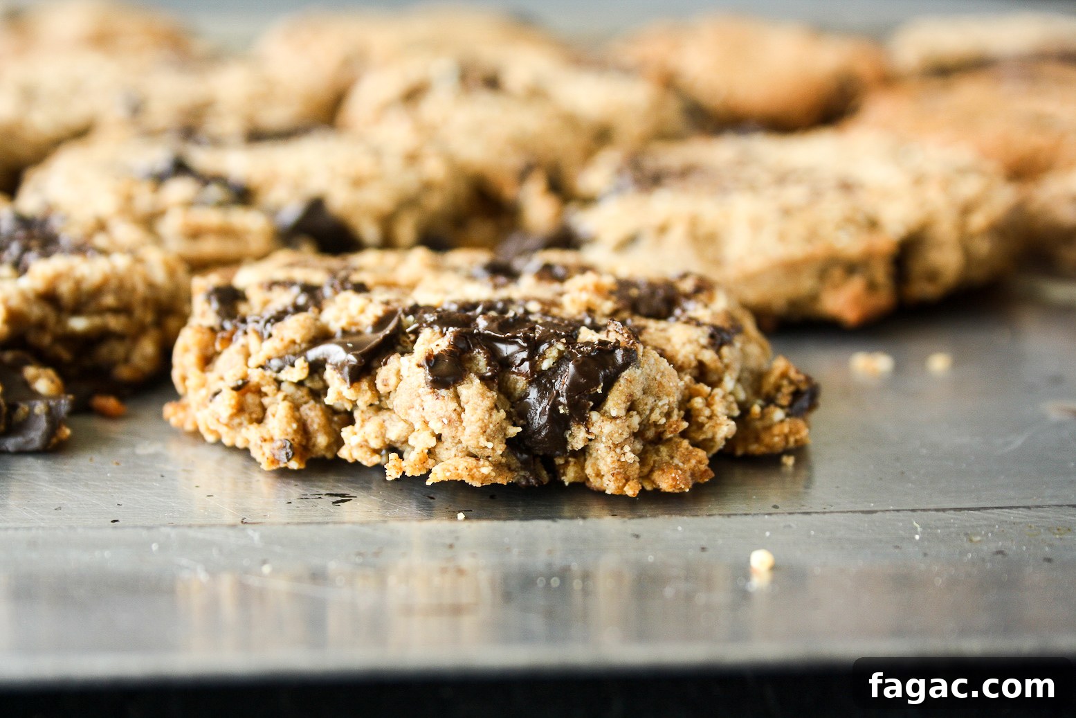 Naturally sweetened, vegan almond and rye flour cookies!
