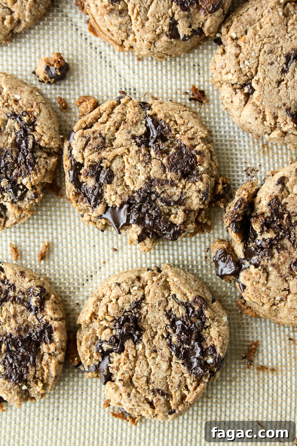 Naturally sweetened, vegan almond and rye flour cookies!