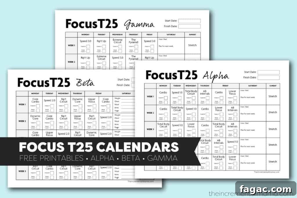 Printable Focus T25 Workout Calendar: Alpha, Beta & Gamma Schedule 2 alpha beta and gamma phase t25 calendar templates