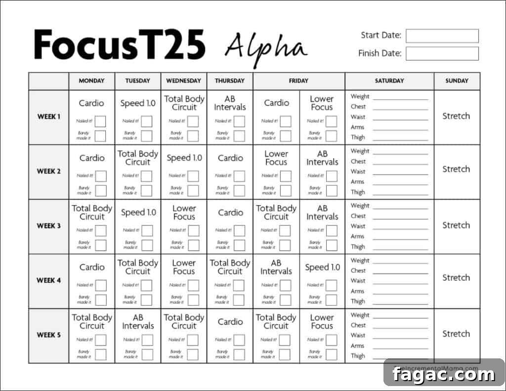 Printable Focus T25 Workout Calendar: Alpha, Beta & Gamma Schedule 6 alpha cycle workout schedule