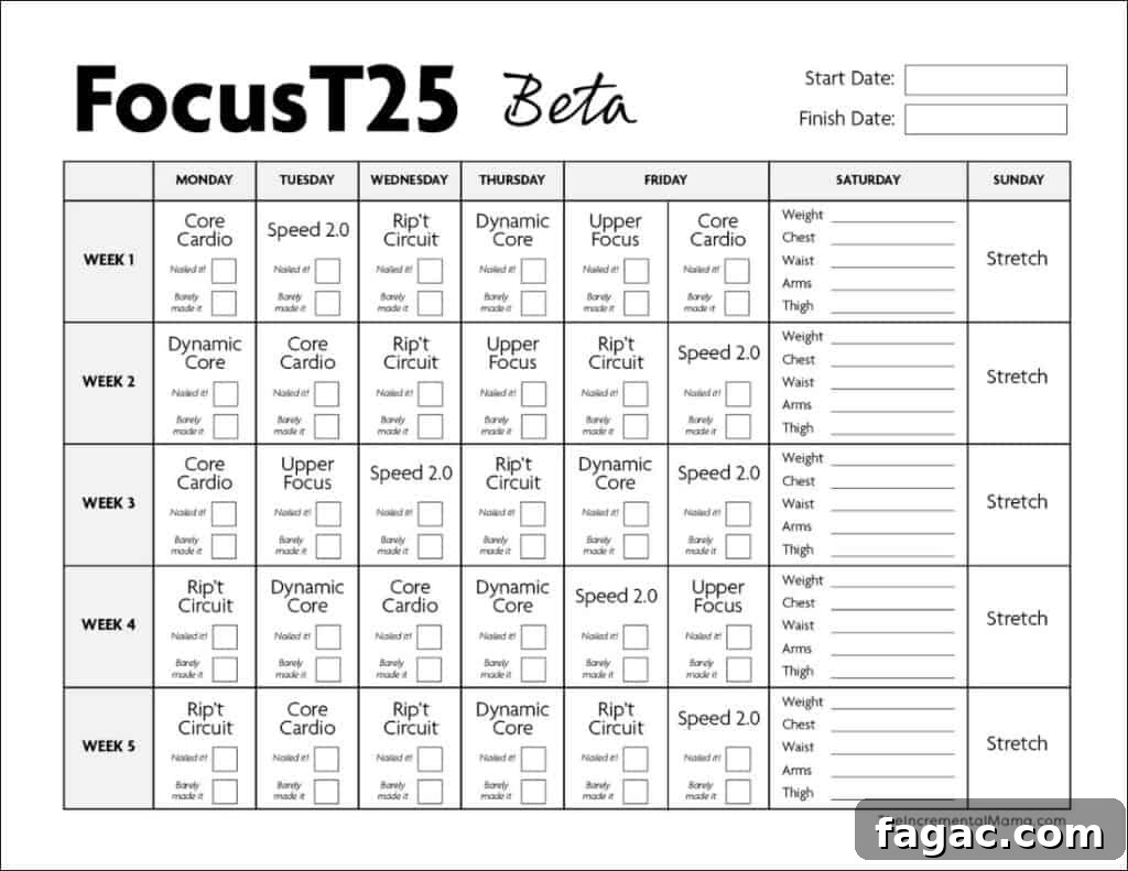 Printable Focus T25 Workout Calendar: Alpha, Beta & Gamma Schedule 7 beta cycle workout schedule