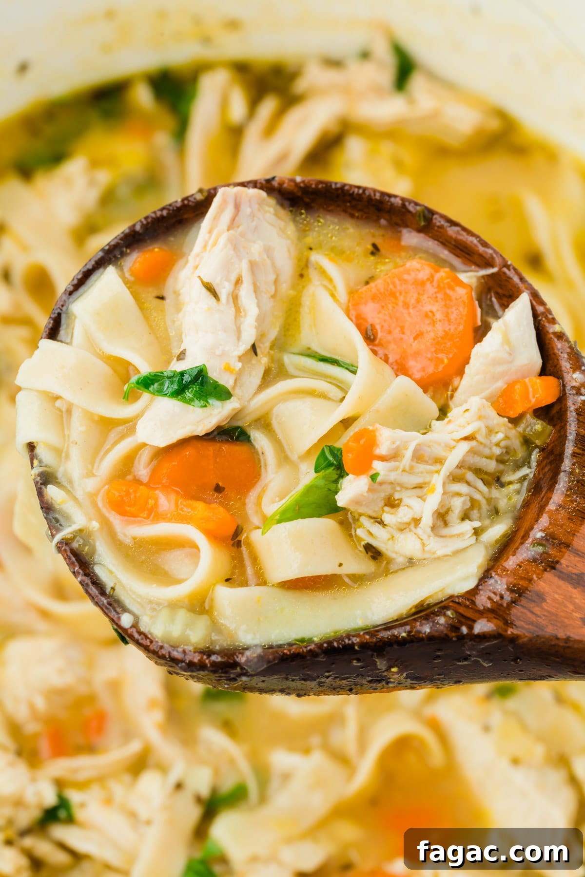 Comforting Gluten-Free Chicken Noodle Soup Recipe 14 A spoonful of gluten-free chicken noodle soup.