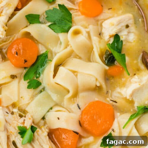 Comforting Gluten-Free Chicken Noodle Soup Recipe 15 A close up of a bowl of gluten-free chicken noodle soup.