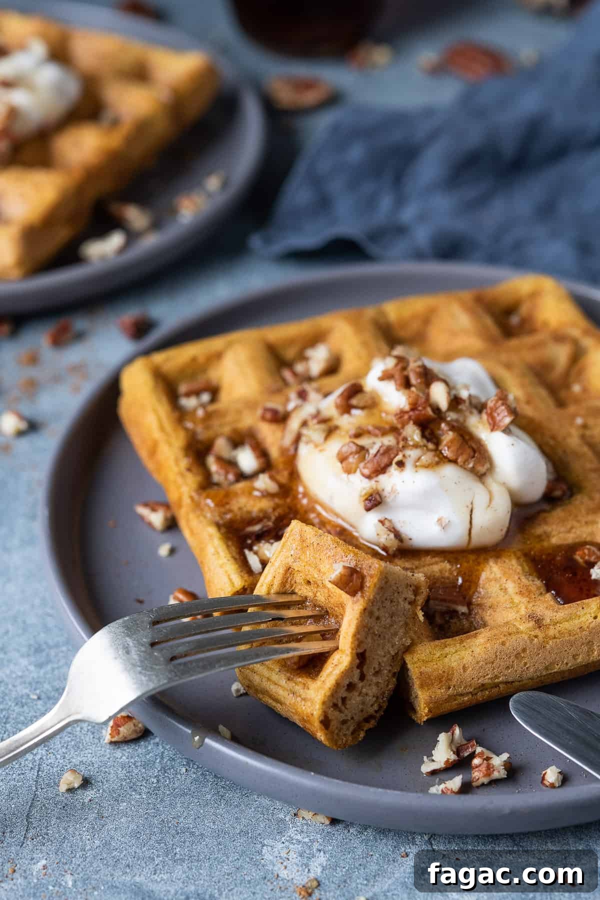 Vegan pumpkin waffles - these super fluffy vegan waffles are crispy on the outside and light and soft on the inside, you would never be able to tell that they are eggless and dairy-free! They are lightly spiced and flavoured with pumpkin, perfect for an autumnal breakfast or brunch! #veganbreakfast #veganbrunch #eggless #dairyfree Two grey plates of vegan pumpkin waffles topped with yogurt, chopped pecans and maple syrup, one waffle with a forkful removed.