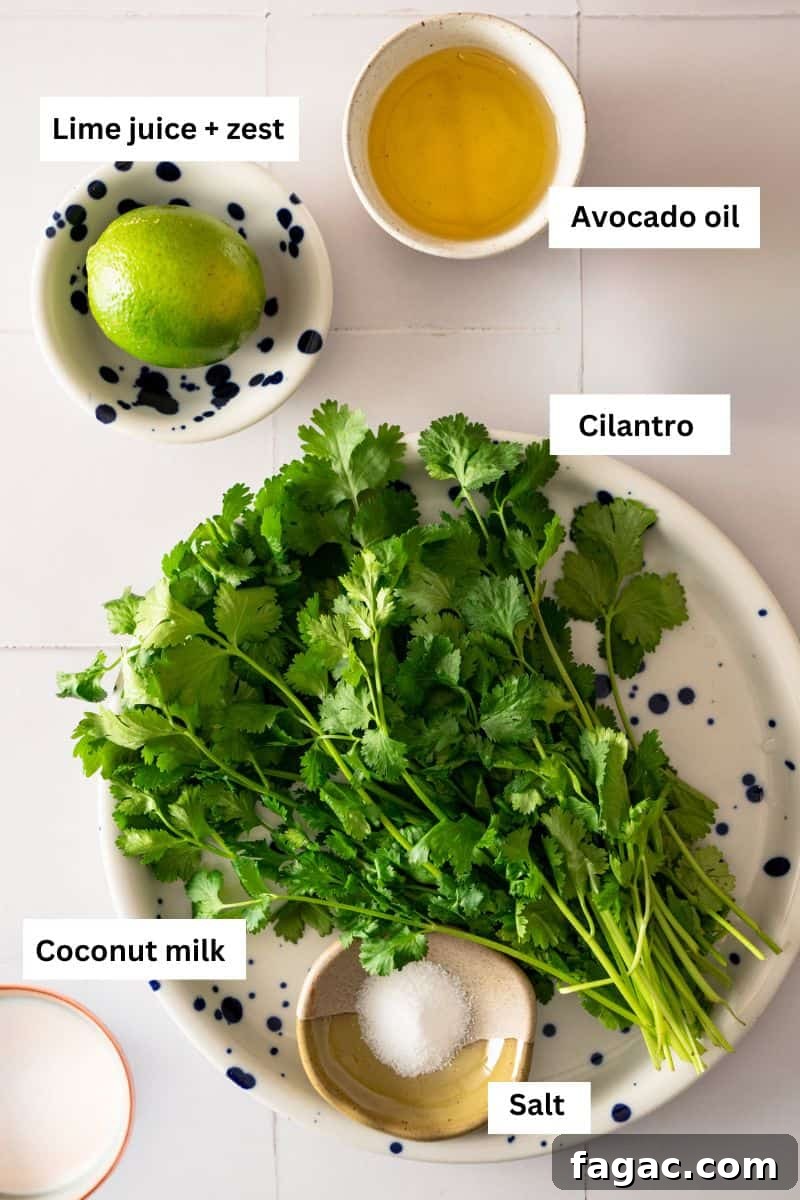 Vegan Cilantro Lime Dressing — Dairy-Free Paleo Recipe 3 Ingredients to make cilantro lime dressing: fresh cilantro, salt, avocado oil, coconut milk and a lime.