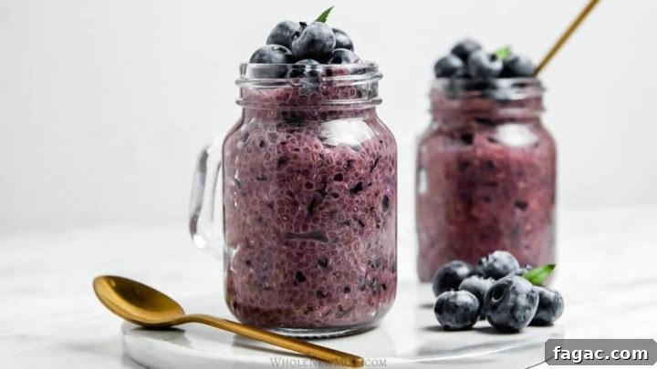 Image for 5 Ingredient Creamy Blueberry Chia Pudding-keto & vegan!