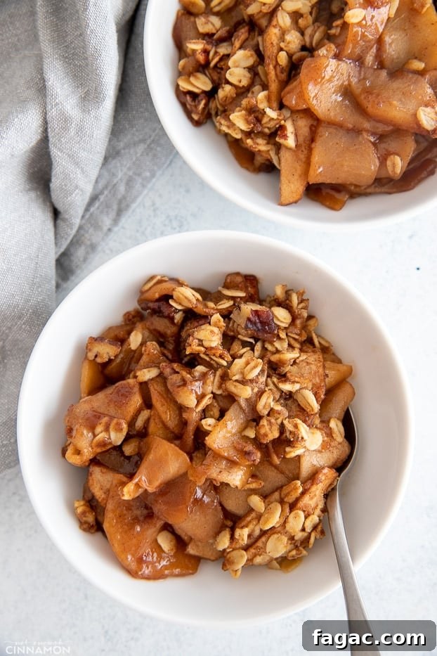 healthy apple crisp overhead shot of a serving of healthy apple crisp with a spoon on the side