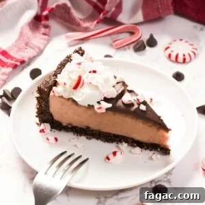 A slice of no-bake peppermint cheesecake on a white plate with peppermint candy pieces on top.