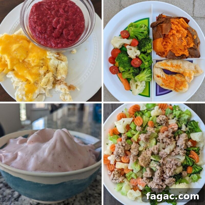 Bikini Competition Diet and 12-Week Workout Plan 4 full day of eating on bikini prep