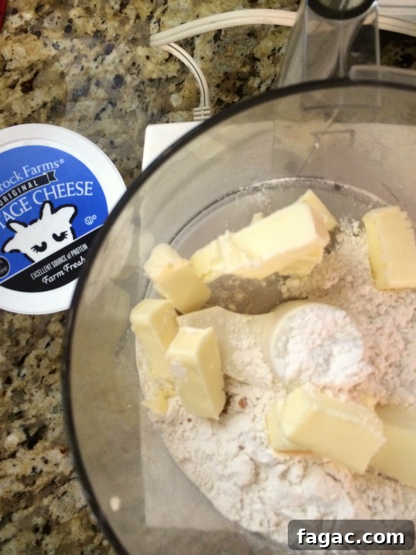 Blueberry Cottage Cheese Cookies