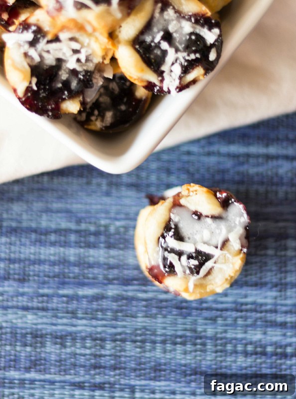 Blueberry Cottage Cheese Cookies