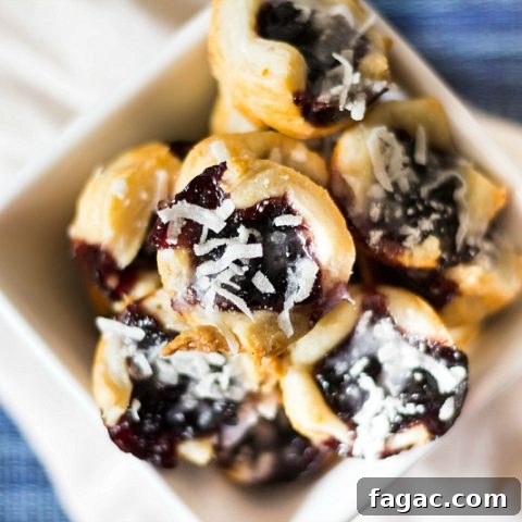 Blueberry Cottage Cheese Cookies