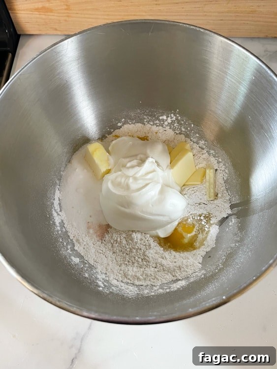 German Quark Balls with Cinnamon Sugar — Soft, Golden Treats 13 img 14400 12