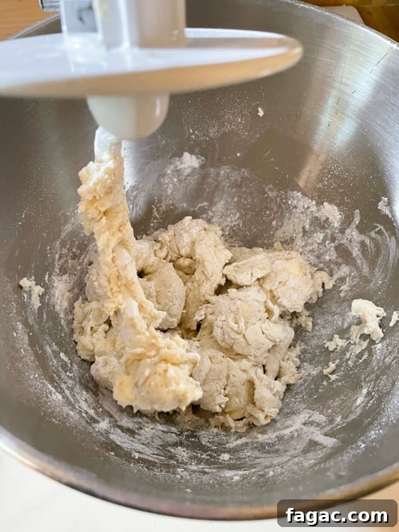 German Quark Balls with Cinnamon Sugar — Soft, Golden Treats 16 img 14400 15
