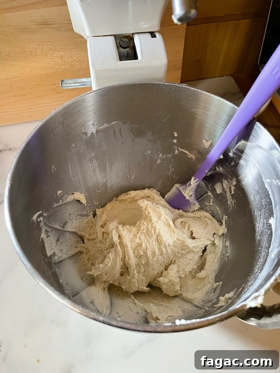 German Quark Balls with Cinnamon Sugar — Soft, Golden Treats 17 img 14400 16