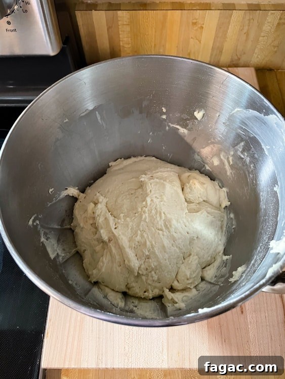 German Quark Balls with Cinnamon Sugar — Soft, Golden Treats 19 img 14400 18