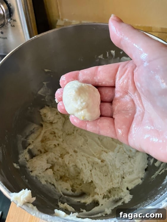 German Quark Balls with Cinnamon Sugar — Soft, Golden Treats 22 img 14400 21