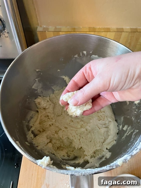 German Quark Balls with Cinnamon Sugar — Soft, Golden Treats 23 img 14400 22