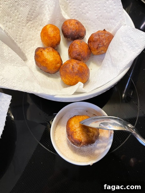German Quark Balls with Cinnamon Sugar — Soft, Golden Treats 27 img 14400 30