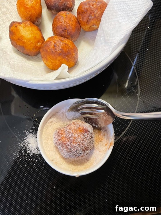 German Quark Balls with Cinnamon Sugar — Soft, Golden Treats 28 img 14400 31