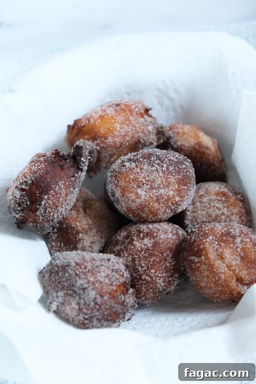 German Quark Balls with Cinnamon Sugar — Soft, Golden Treats 29 img 14400 32