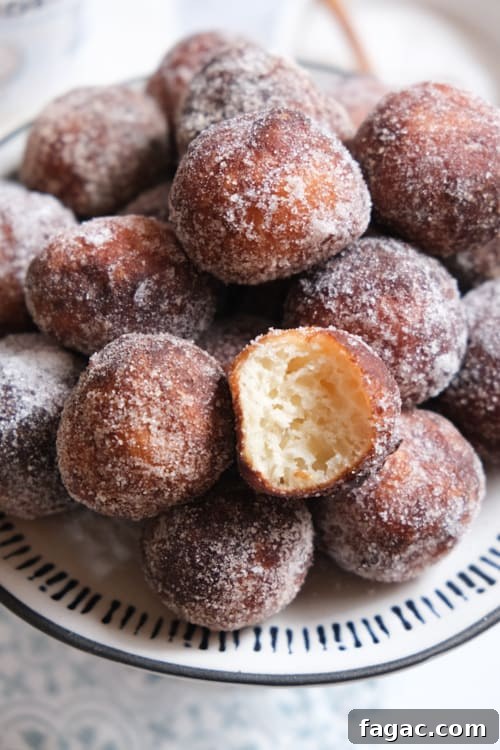 German Quark Balls with Cinnamon Sugar — Soft, Golden Treats 10 img 14400 9