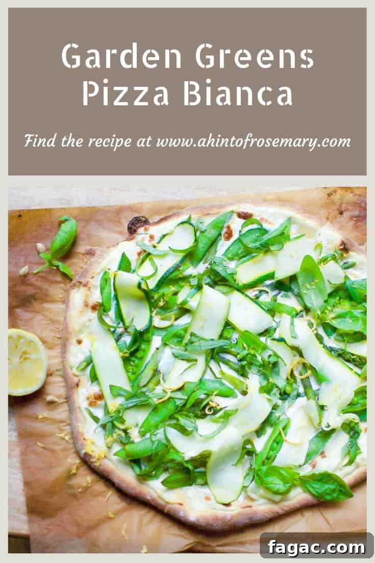 12 Delicious Zucchini Recipes to Use Up Your Harvest 8 img 15249 7