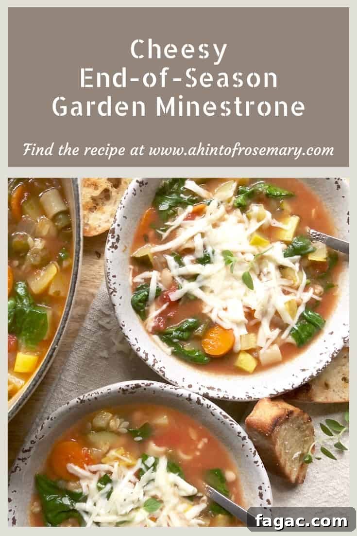 12 Delicious Zucchini Recipes to Use Up Your Harvest 9 img 15249 8