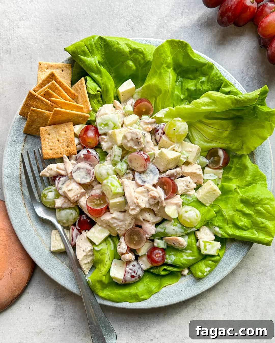 Easy Waldorf Salad Recipe with Chicken and California Grapes Primal Gourmet
