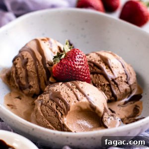 Homemade Creamy Chocolate Ice Cream Recipe 2 chocolate ice cream in an ice cream maker
