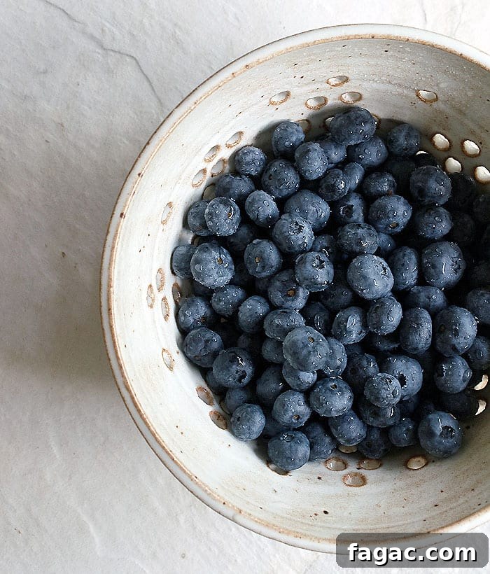 Vegan Blueberry Buckle - No Oil Added!
