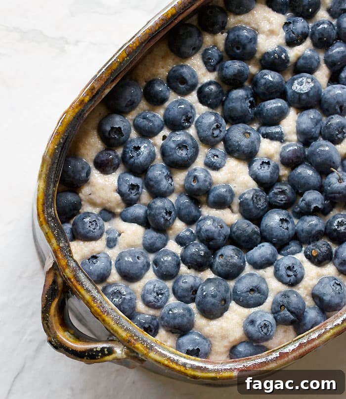 Vegan Blueberry Buckle - No Oil Added!
