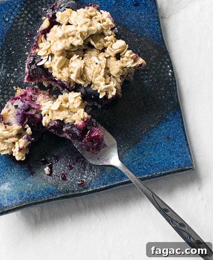 Vegan Blueberry Buckle - No Oil Added!