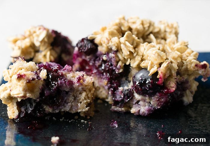 Vegan Blueberry Buckle - No Oil Added!