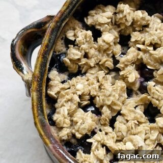 Vegan Blueberry Buckle - No Oil Added!